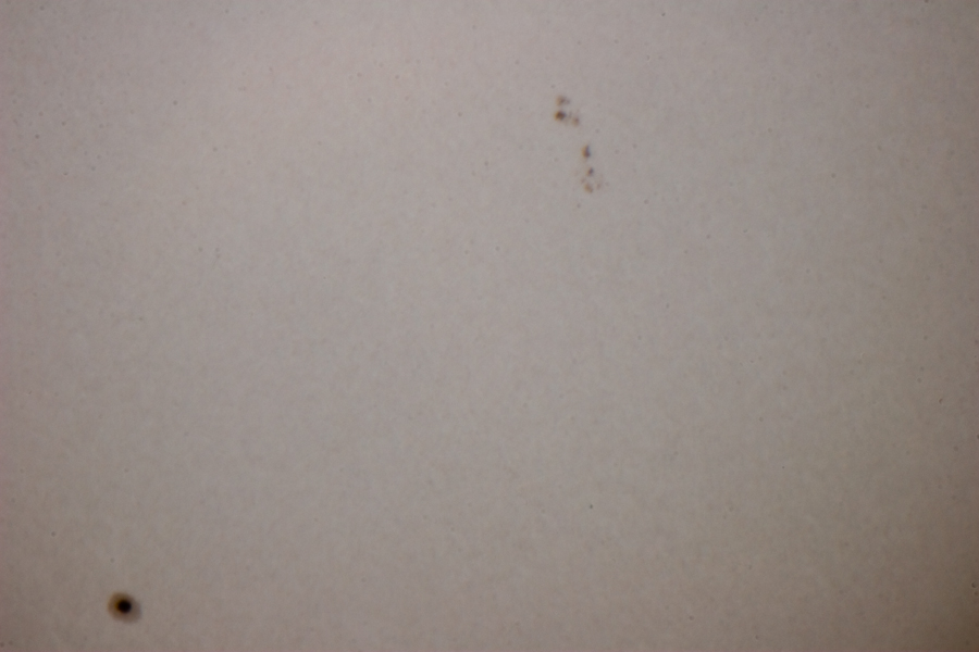 EclipseParcial1Enero2011_6