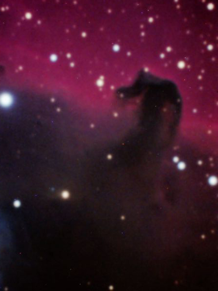 CABEZA DE CABALLO_PI.jpg