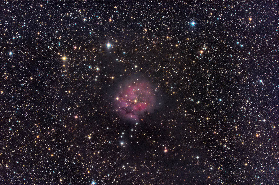 Cocoon StarTools.jpg