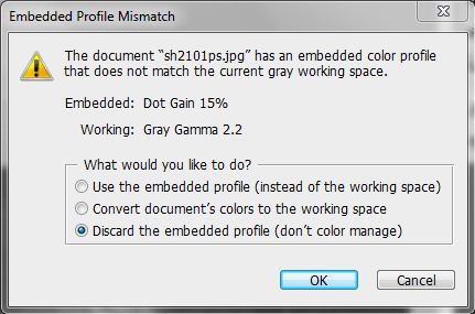 embedded profile.JPG