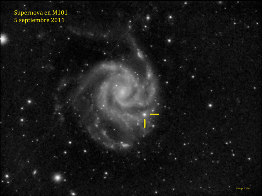 M101foro.jpg