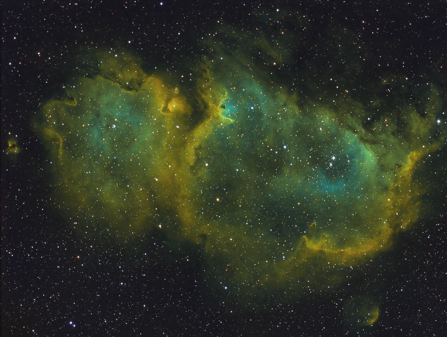 IC1848SHO-02112011-P1.jpg