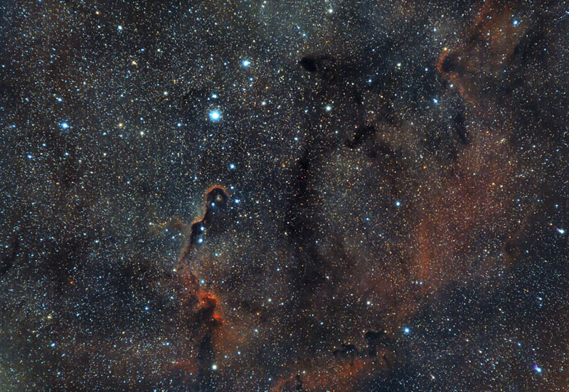IC1396-JORGE.jpg